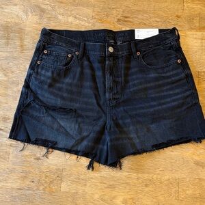 American Eagle Outfitters Dark Denim Jean Shorts